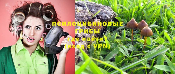 синтетический гашиш Алексеевка