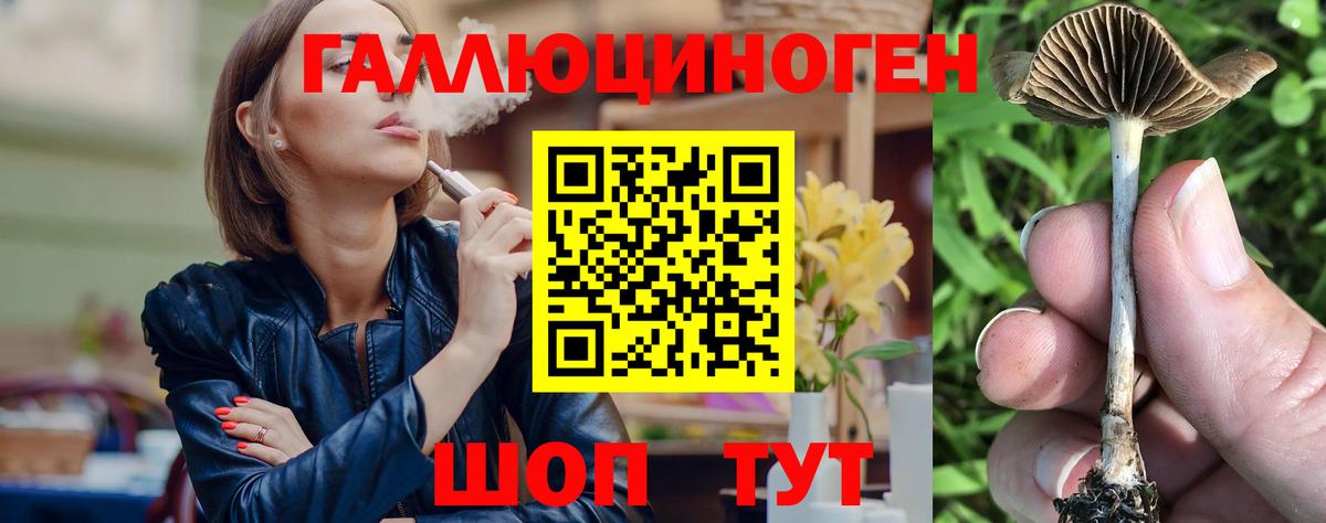 Псилоцибиновые грибы Psilocybe  Вход с VPN  Джанкой 