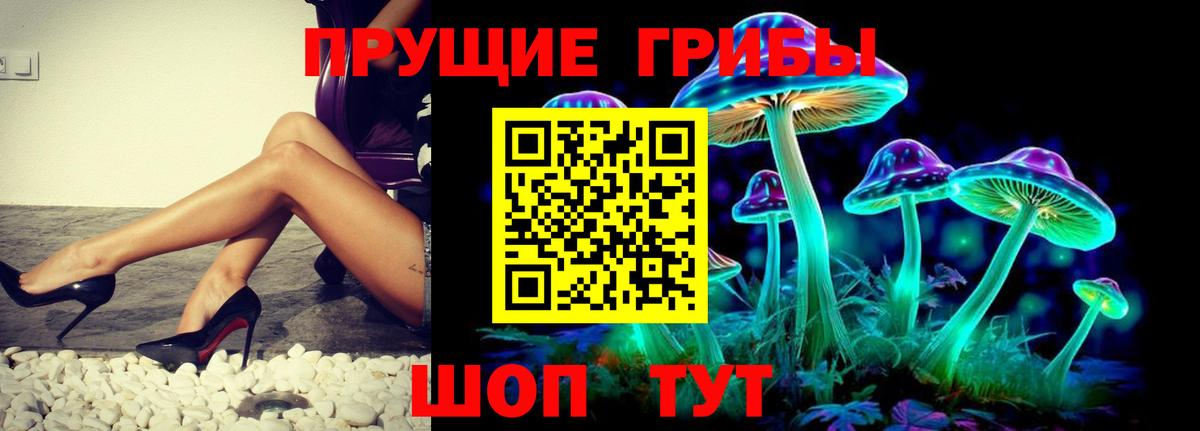 Галлюциногенные грибы Psilocybine cubensis Джанкой